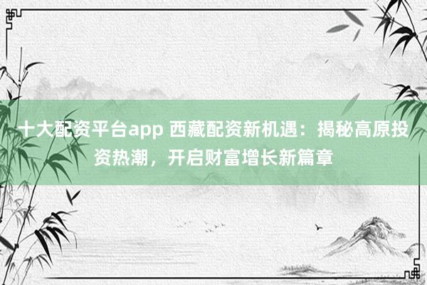 十大配资平台app 西藏配资新机遇：揭秘高原投资热潮，开启财富增长新篇章