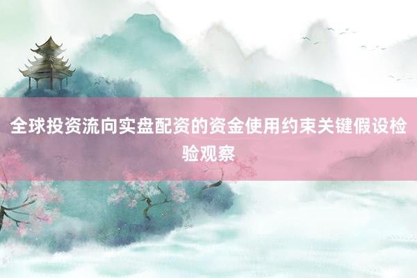 全球投资流向实盘配资的资金使用约束关键假设检验观察