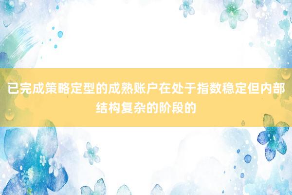 已完成策略定型的成熟账户在处于指数稳定但内部结构复杂的阶段的