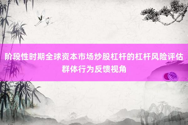 阶段性时期全球资本市场炒股杠杆的杠杆风险评估群体行为反馈视角